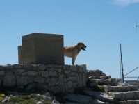 image038  Cime du Cheiron : table d'orientation : Cheiron Est Ouest 040609