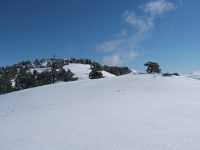 DSCF3231  Les décos sous la neige