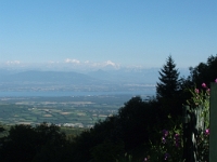 DSCF5416  Au fond, le Mont Blanc